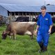 Nieuw-Zeeland wil boerende schapen en koeien belasten om uitstoot broeikasgassen te verminderen