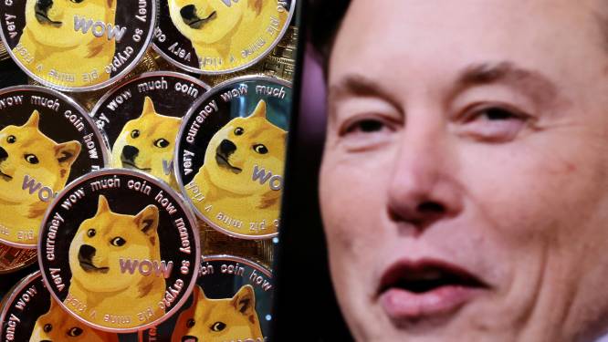 Investeerder eist 258 miljard dollar van Elon Musk voor zijn steun aan cryptomunt dogecoin