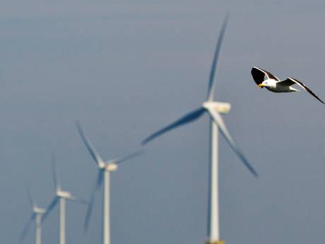 ‘Help, Beltrumse Veld wordt vogelvrij!’