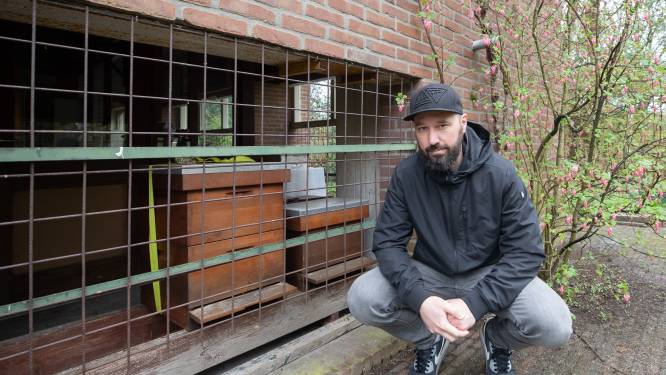 Imkers slaan alarm, grote aantallen bijen sterven plotseling: ‘Wat is er aan de hand?’