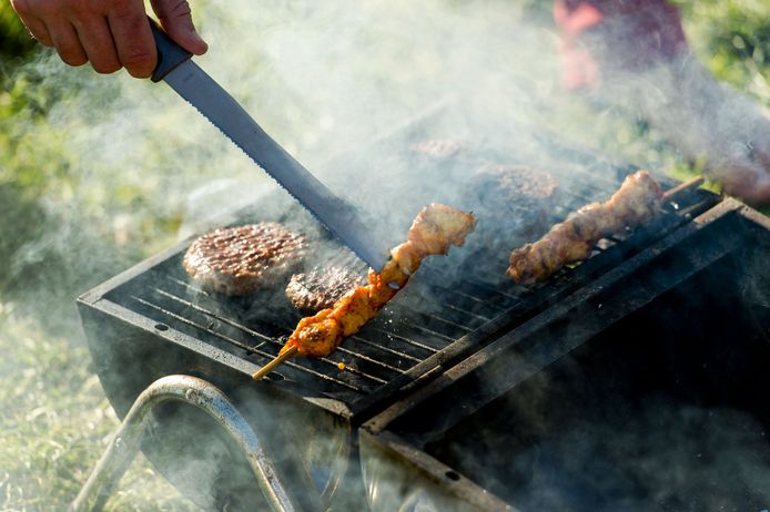 Steek jij de barbecue aan? Bezorg ons jouw leukste en mooiste beelden via 04 74 74 65 02 of stuur ze naar video@hln.be