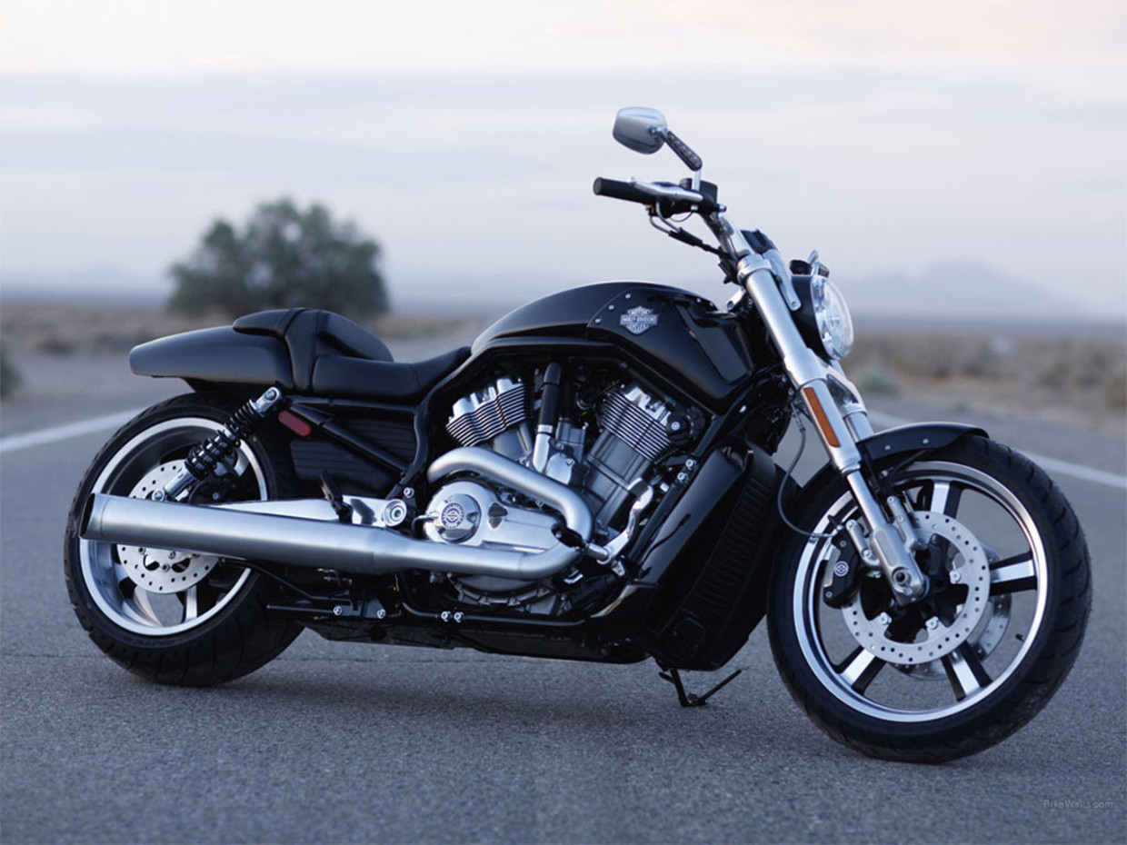Harley Davidson V-Rod Muscle. 'Het is een motor voor leipen.' Beeld Harley Davidson