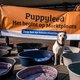 Na een jaar van stilstand gaat de NVWA controleren op illegale puppyhandel, maar is dat genoeg?