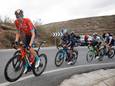 Wout Poels tijdens de Vuelta van 2022, bergop. In Maas en Waal hoeft er geen bergrit te worden gereden.
