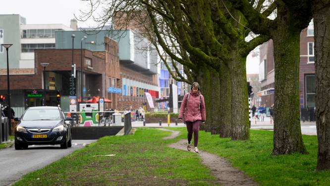 Markante kastanjes aan Boulevard in Enschede leggen door ziekte het loodje 