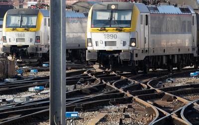 Stray dog ​​on track in Etterbeek: at least 50 trains delayed, ten even cancelled