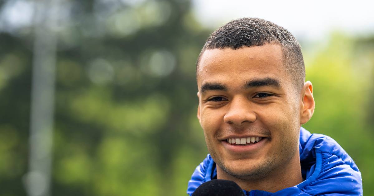 Cody Gakpo Goes To The European Championship With Orange And Sees His Advance At Psv Rewarded Psv Netherlands News Live