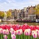 Hoera! Nederland scoort hoog in de top 10 gelukkigste landen