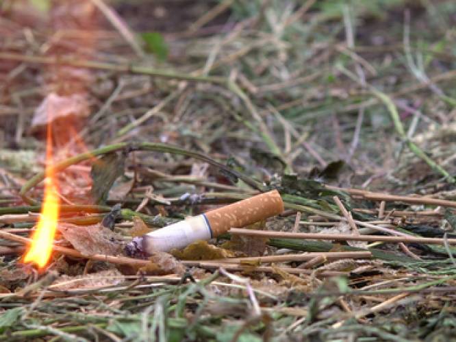 Demir wil algemeen rook- en vuurverbod in natuurgebieden