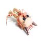 DM tipt design, een kattenboek, lingerie en creepy sneakers