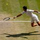 Is het gras van Wimbledon echt trager dan ooit?