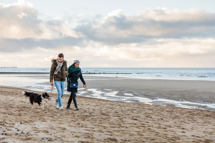 Honden dagelijks twee uur langer welkom op strand van Knokke-Heist tijdens toeristisch seizoen