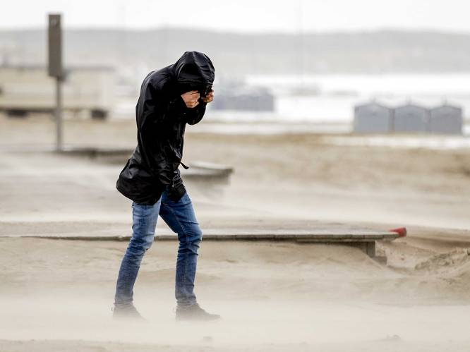 Herfststorm raast over Nederland: rukwinden van meer dan 100 km/u, Schiphol schrapt 150 vluchten
