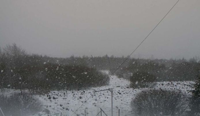 In Mont-Rigi, in de Hoge Venen, viel deze namiddag nog sneeuw.