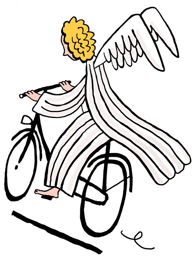 null Beeld Bas van der Schot