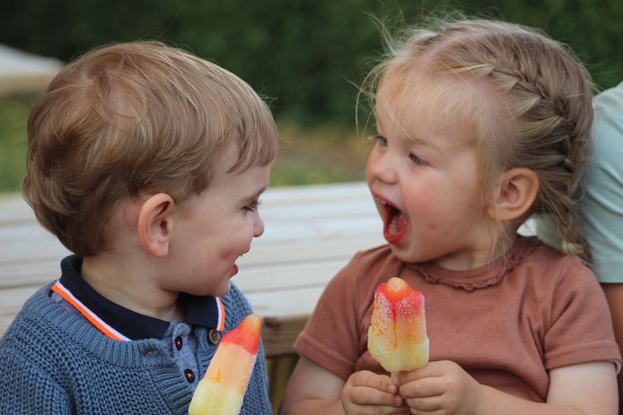 HEB IK AL EEN RODE TONG? - Jaïr en Vieve ( beide 2 jaar) maken samen plezier en genieten van een raketijsje op de verjaardag van hun opa. Altijd spannend wanneer je tong gaat verkleuren met zo’n waterijsje. Genoeg stof om over te praten.