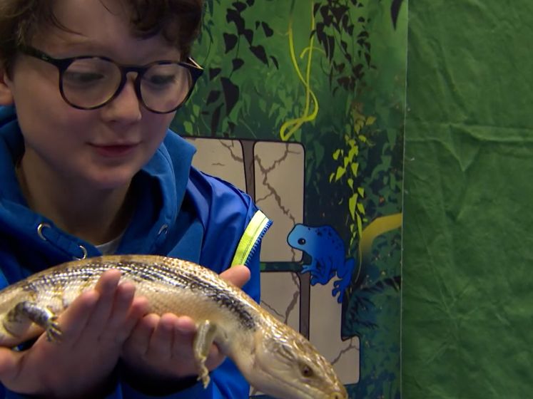 Kinderen kunnen deze zomer op ‘reptielenkamp’