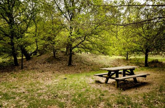 Natuurgebied de Posbank waar in 2003 de 44-jarige Alex Wiegmink verdween tijdens een rondje hardlopen.