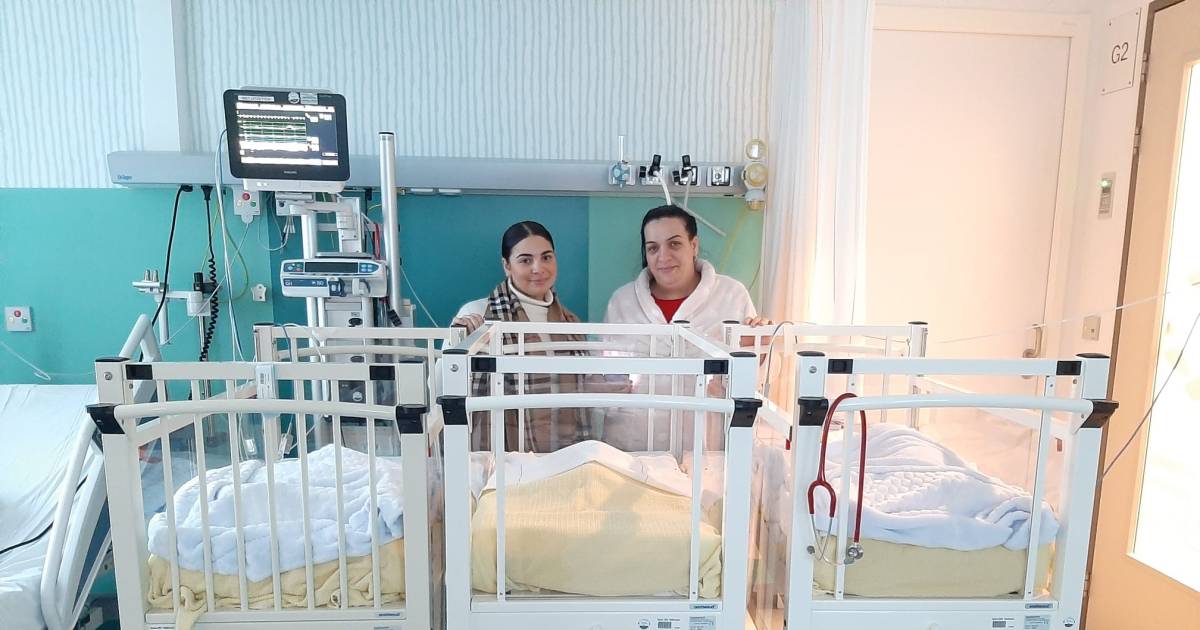 Triplets born 'We already have a 20yearold daughter and an 11year