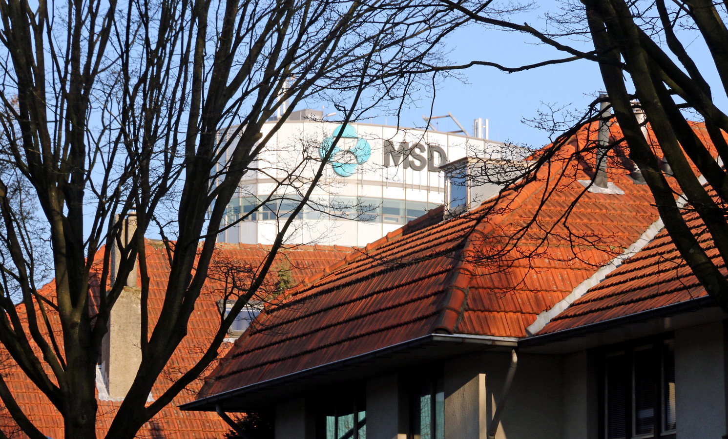 Het complex van MSD steekt uit boven de daken van de huizen in de Floraliastraat in Oss.  Op de ovalen toren staat inmiddels overigens het Organon-logo.