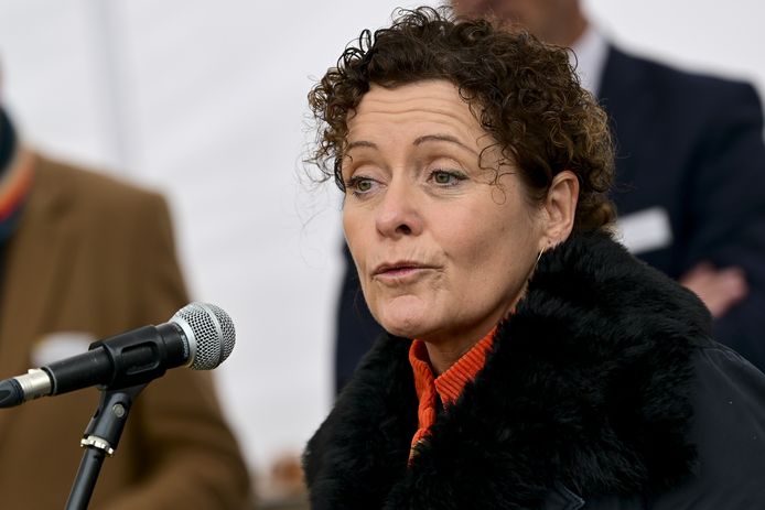 Vlaams minister van Mobiliteit (Open Vld) Lydia Peeters.