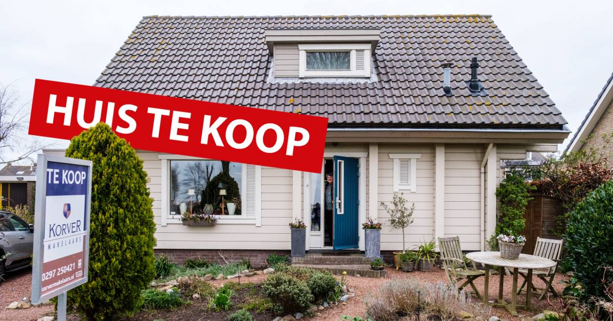 Altijd al in knus en comfortabel 'Fins huis' wonen? Deze staat te koop! | Wonen | AD.nl