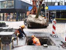 Waar het Chinees graniet lag, bloeit straks de linde: ‘Meer groen in de Tilburgse binnenstad’