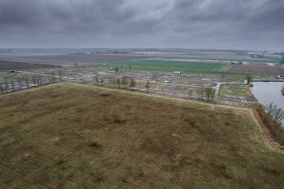 Boete van 25.000 euro voor illegale bomenkap op voormalige camping Bovensluis