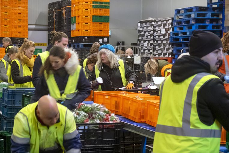 Bij de voedselbank in Rotterdam vullen vrijwilligers, werklozen en mensen met een verstandelijke beperking kratjes met eten.  Beeld ANP