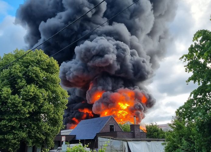 Wetteren: Zware brand in tuinbouwbedrijf.