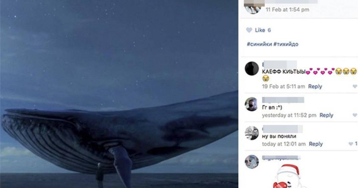 Levensgevaarlijke 'Blue Whale Challenge' waait over naar ons land al