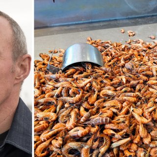 Prijs van garnalen halveert: ‘Maar klimaatverandering zal roet in het eten strooien’