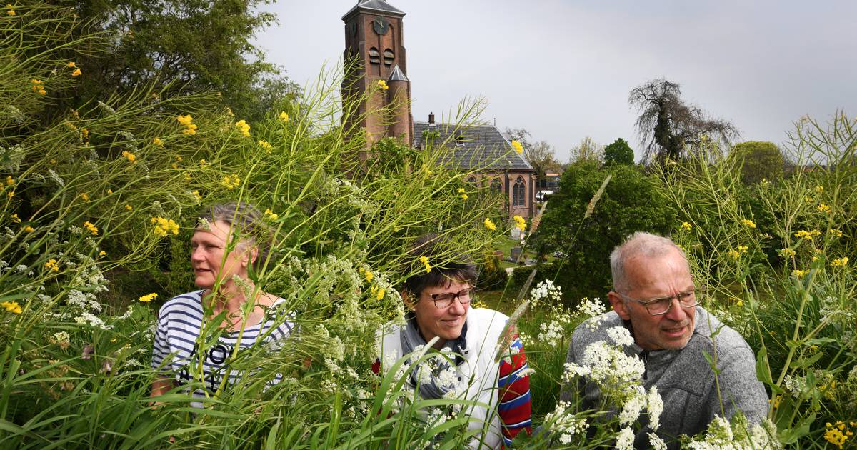 In Heesselt wordt gezaaid voor Tour de Waal