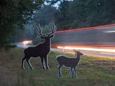 Let op! Grotere kans op wildaanrijdingen dit weekend