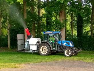 Preventieve bestrijding van eikenprocessierupsen van start gegaan in tiental straten