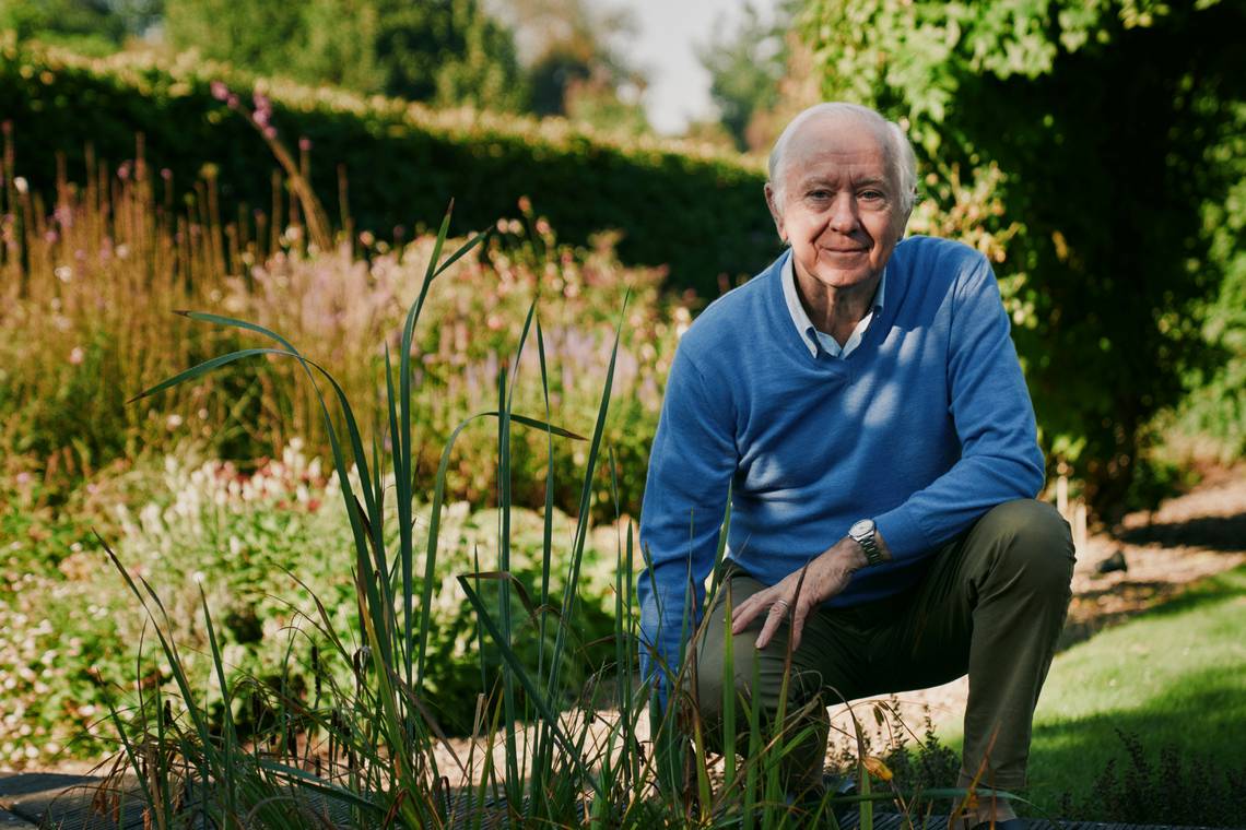 ‘Kick gewoon volledig af van suiker. Dat kan in drie weken, maar de eerste week is doffe ellende’