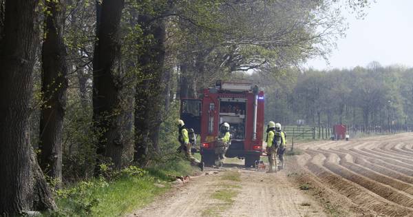Opnieuw bosbrand in Land van Cuijk: paar hectare bos in brand bij Maashees