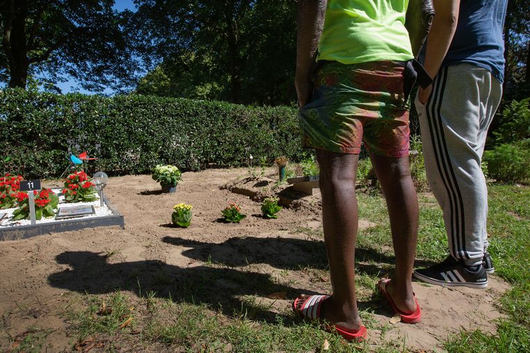 Twee vrienden bezoeken het nieuwe graf van Madi Soh, hier op het lege stuk met 3 plantjes en een hortensia, op het 
islamitische gedeelte van begraafplaats Akendam in Haarlem. Beeld Maartje Geels