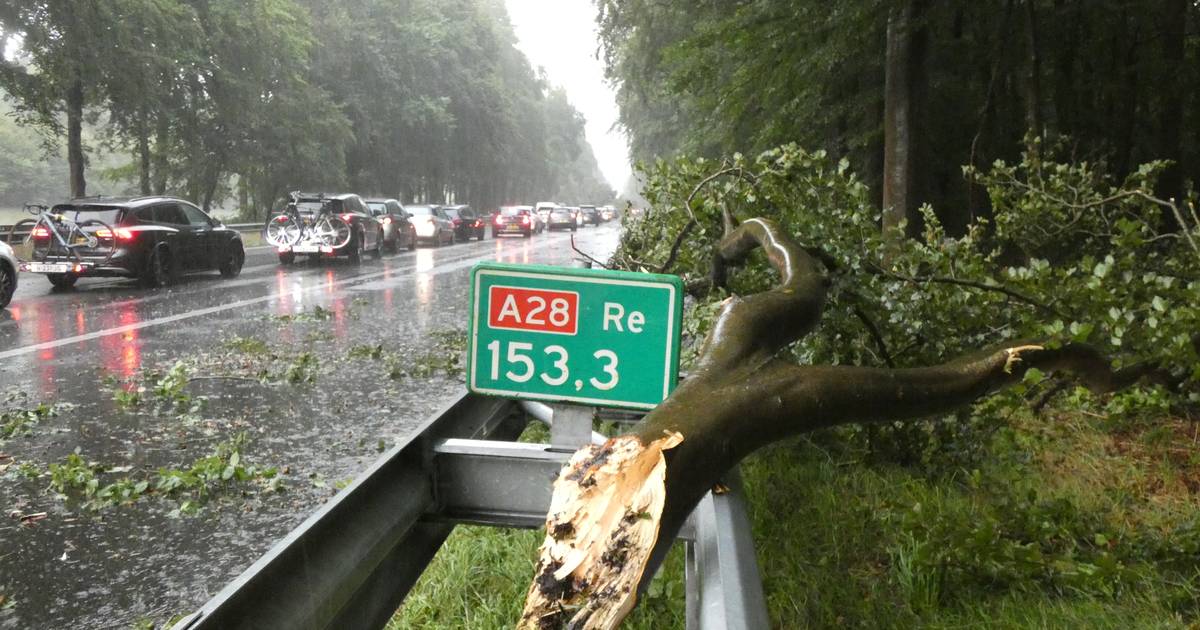 Hulpdiensten groots uitgerukt wegens bomen op A28 bij Spier