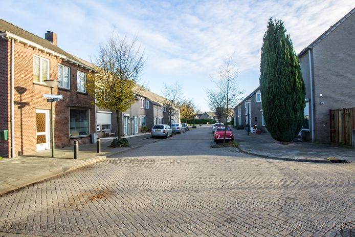 De Ter Borghstraat in Geldrop.