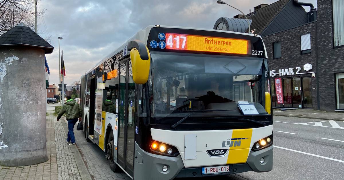 knuffel Berg gids 3,05% van geplande ritten op buslijn 417 reed niet in eerste helft van 2020  | Zoersel | hln.be