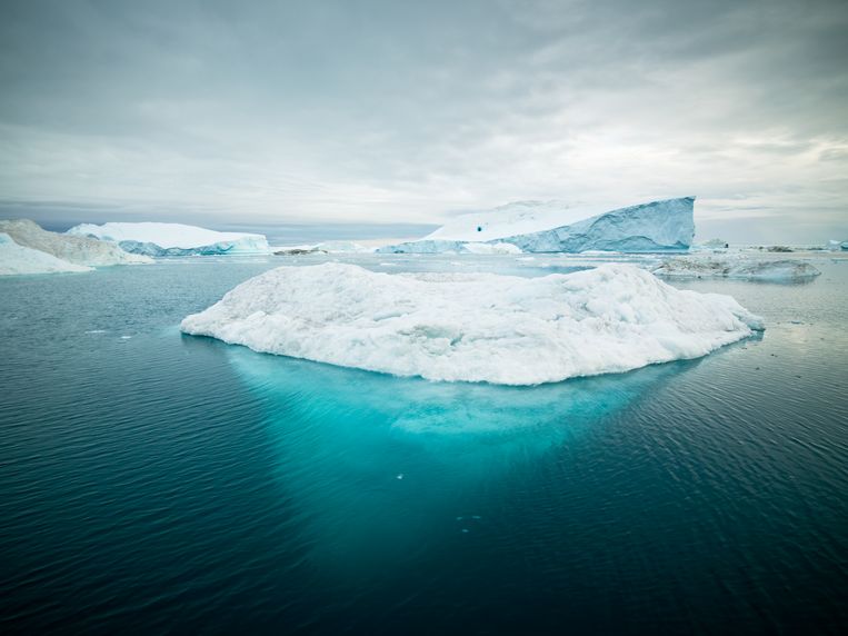 null Beeld Getty Images