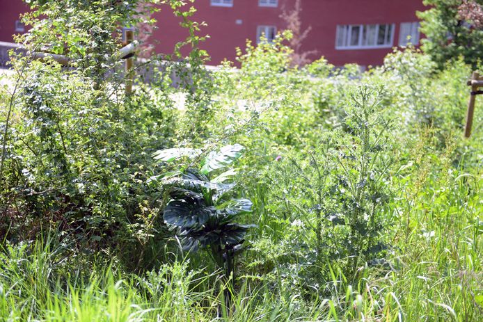 Experimentele kunstroute in Leuven.
