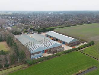 Ook Maashorst wil meewerken aan verhuizing tuinbouwbedrijf Jonkergouw in Schaijk 