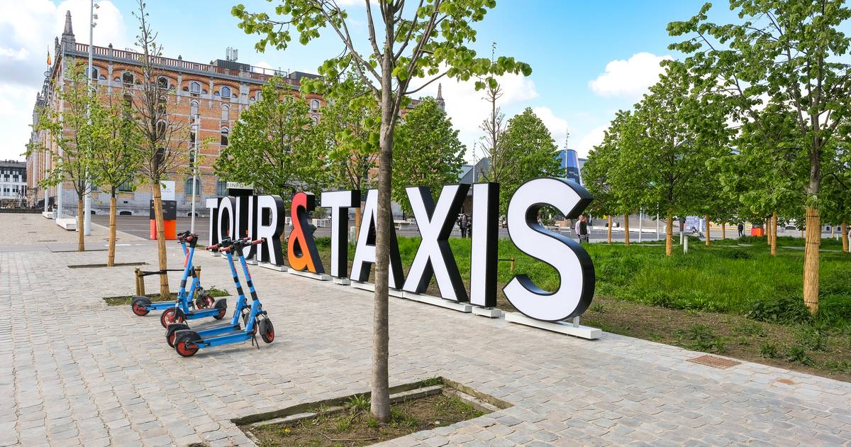 tour en taxis activiteiten