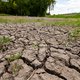 ‘De tranen kwamen in mijn ogen bij het lezen dat droogte blijkbaar ophoudt bij de grens’