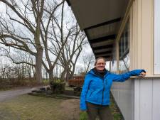 Buurt niet blij met aangekondigde kap van ‘karakteristieke’bomen langs Oirschots laantje