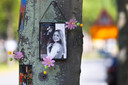 Langs de Holysingel in Vlaardingen is inmiddels een enorme bloemenzee ontstaan, ook hangen er meerdere foto's van de bij het verkeersongeval overleden Zara (16).