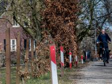 Tiel mag ondanks rechtszaken betwiste Avezaathse berm verbreden