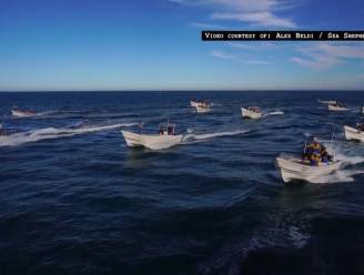 Ruim 20 vissersbootjes vallen Sea Shepherd aan
